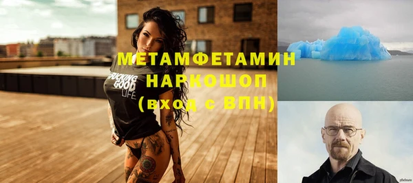 индика Ладушкин