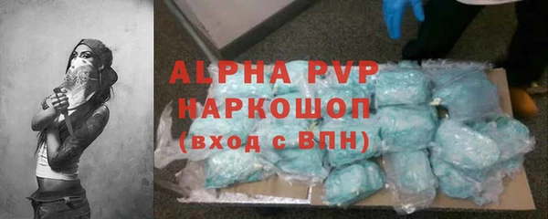 индика Ладушкин