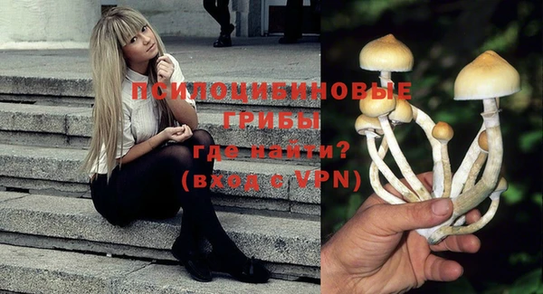 индика Ладушкин