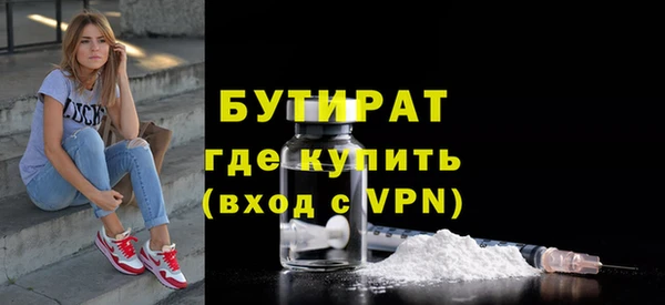 индика Ладушкин