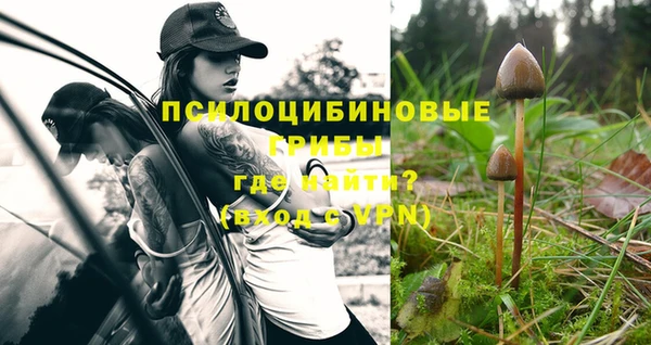 индика Ладушкин