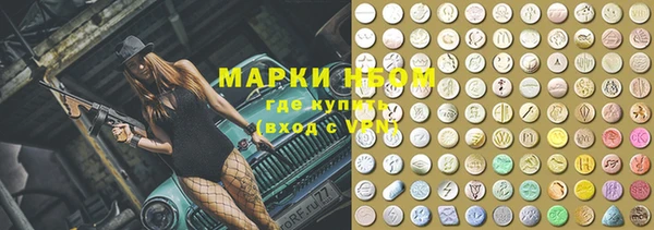 индика Ладушкин