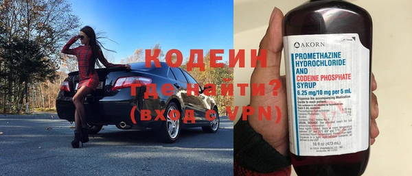 индика Ладушкин