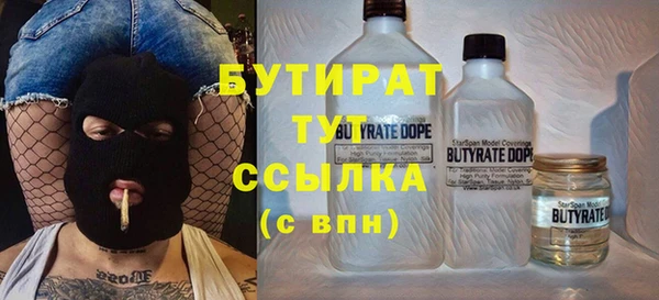 индика Ладушкин