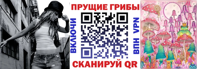 Купить  Канаш  Галлюциногенные грибы Magic Shrooms 